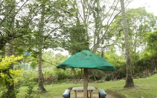 Jungle Paradise Farm And Guest House