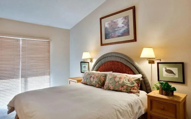 Willows Condos Vail