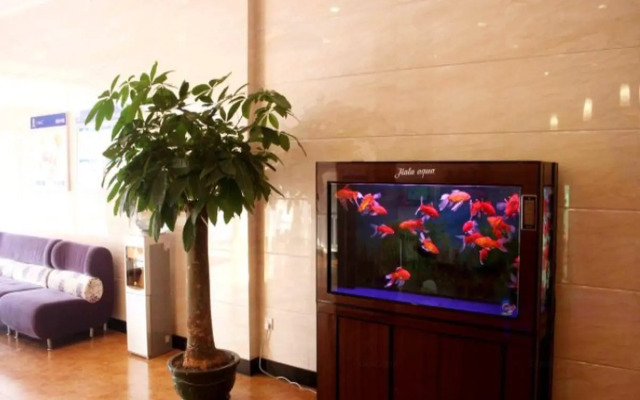 7 Days Inn Xuzhou Fengxian Zhongyang Street Branch