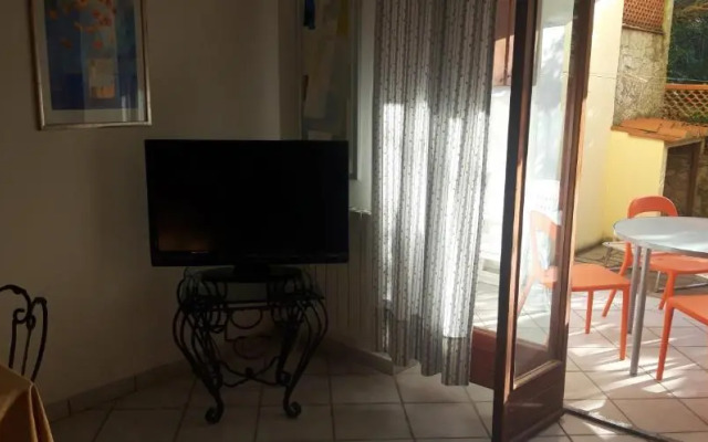 Cotone bilocale 2019