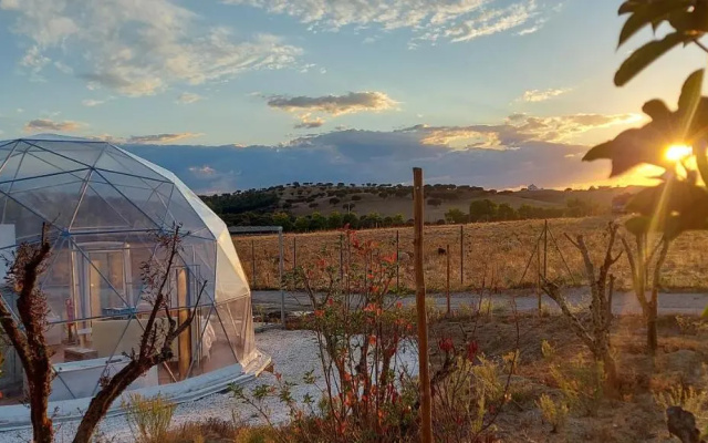 Glamping Skies
