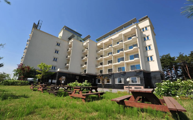 Donghae Motel and Pension