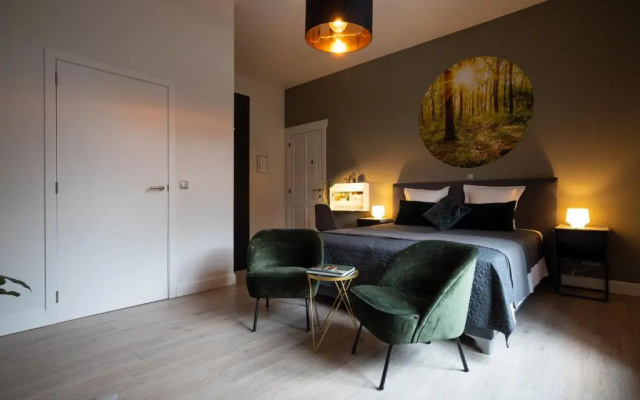 B&B Gaudium XII