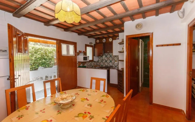 Calsina Bax 2h