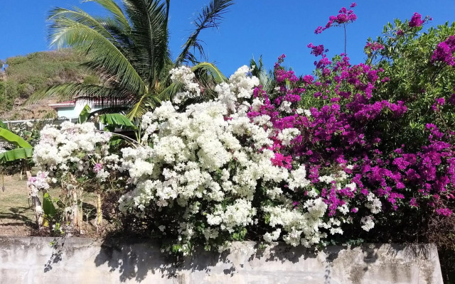 Studio Grande Anse