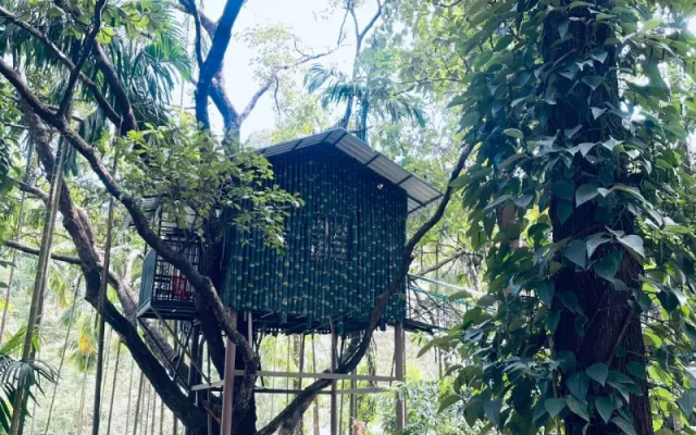 Treetop Resort