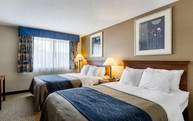 Comfort Inn Hadley - Amherst
