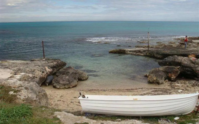 Sea Home