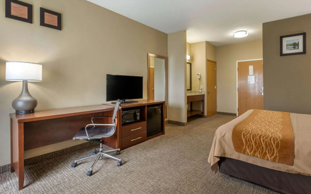 Comfort Inn Walcott near Davenport