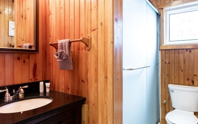 Smoky Mountains 5br 5ba Poolside Chalet