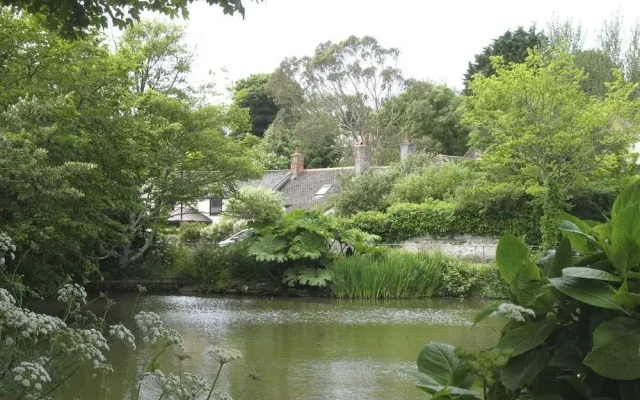 White Duck Cottage