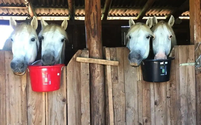 Ranch Terra