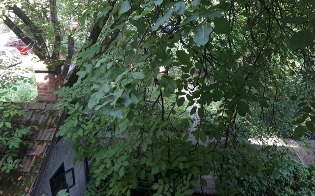 Tabor - Apartments Rozmanova Street