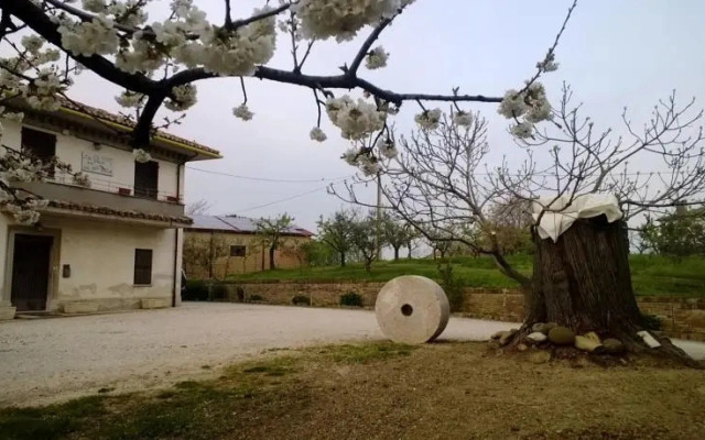 B&B La Pace tra gli Olivi