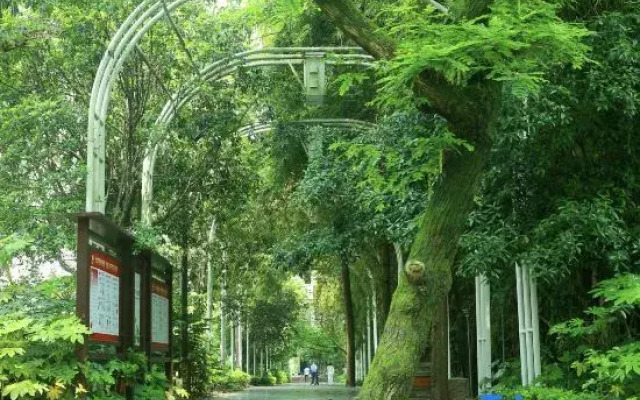 Jiuer Homestay