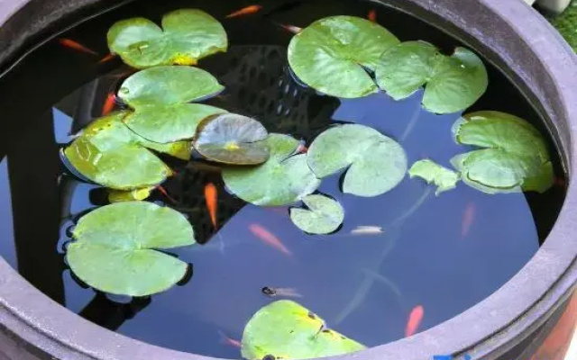Yingcheng Garden Accommodation (Zibo Ceramics Liuliguan Fuli Wanda Plaza)