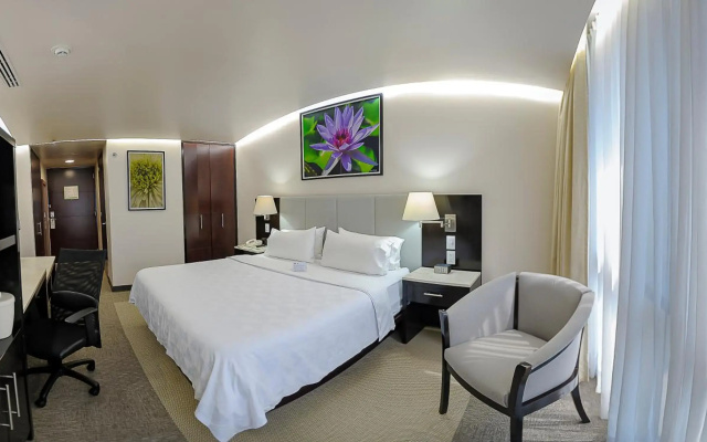 Holiday Inn Hotel & Suites Medica Sur by IHG