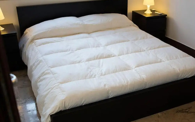 B&B Kore