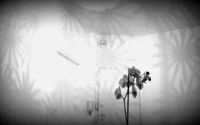 yHome | Barletta Home Apartment