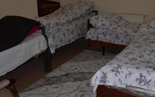 Almaz Hostel