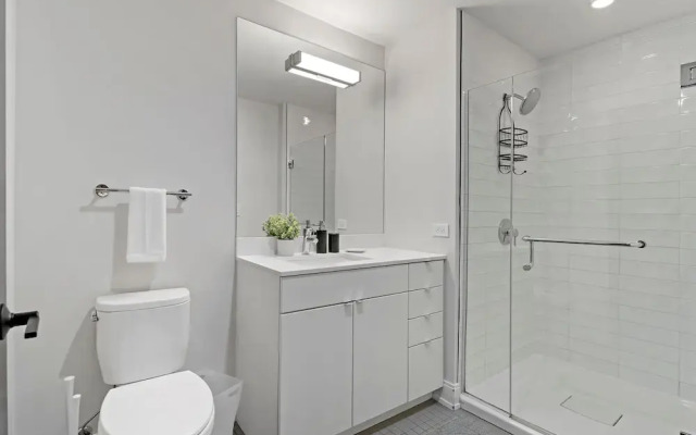Beautiful 1BR Apt w Laundry in Belmont