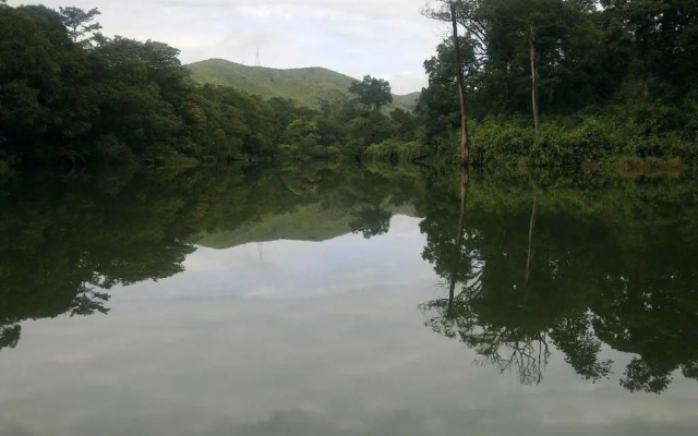 Periyar Woods