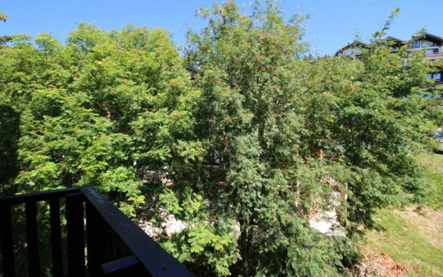 Appartement Les Saisies, 1 pièce, 2 personnes - FR-1-293-245
