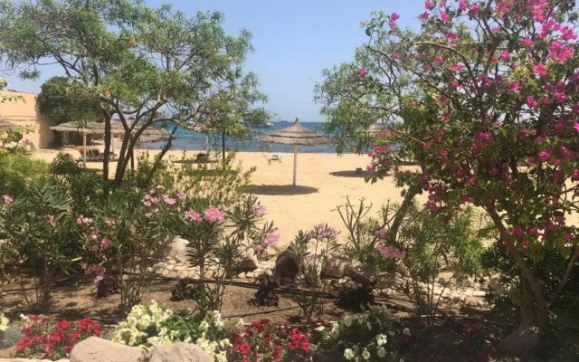 Apartment in Hurghada 174