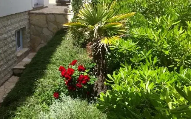 Apartments Sanmar