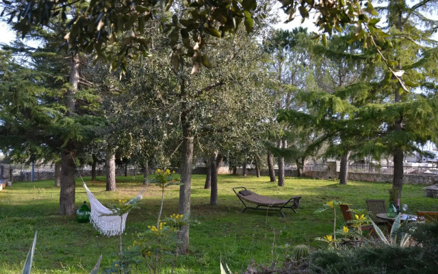 Ulivo Apartment