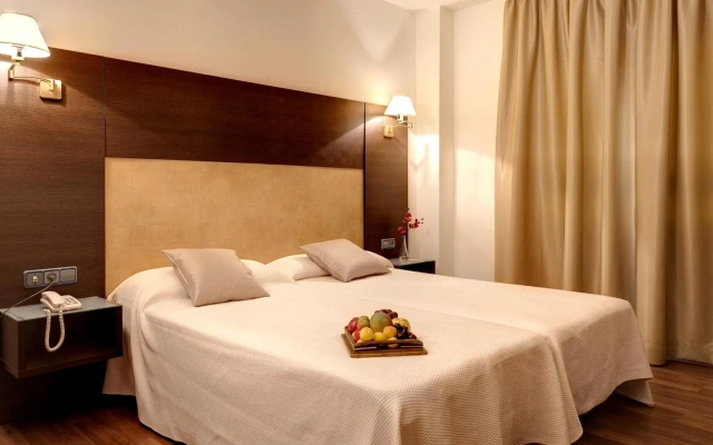 Hotel Madrid Torrejón Plaza