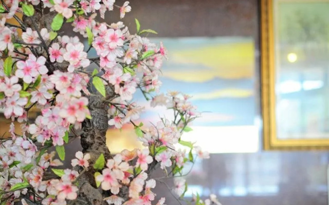 Tomikawa City Hotel