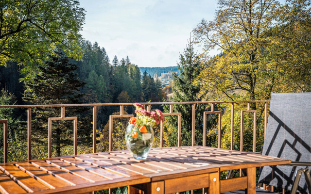 Bergpension Haus Vogelsang