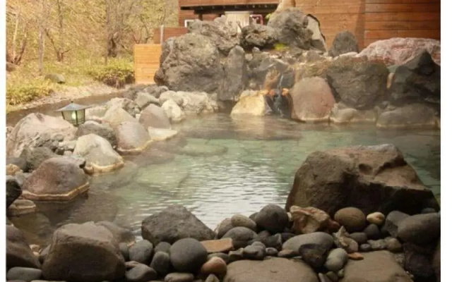 Hot Spring Lodge Daiichi