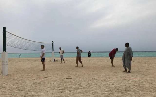 شقة البحر البيلسان