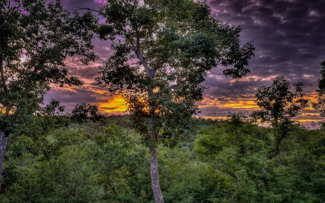 Secluded Serenity by Escape to Blue Ridge