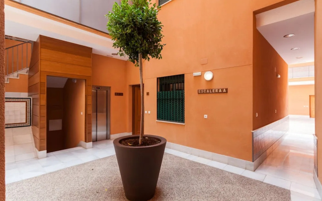 Green - Apartments Plaza Nueva II