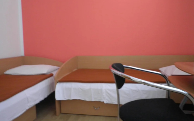 Apartments Romanić Brodarica / Two Bedroom A1