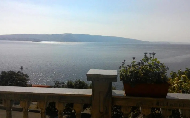 Apartment and Rooms Busa 3