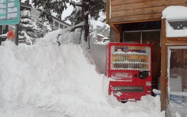 Hakuba Cortina Backpackers - Hostel