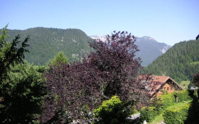 Appartement La Clusaz, 2 pièces, 4 personnes - FR-1-437-5