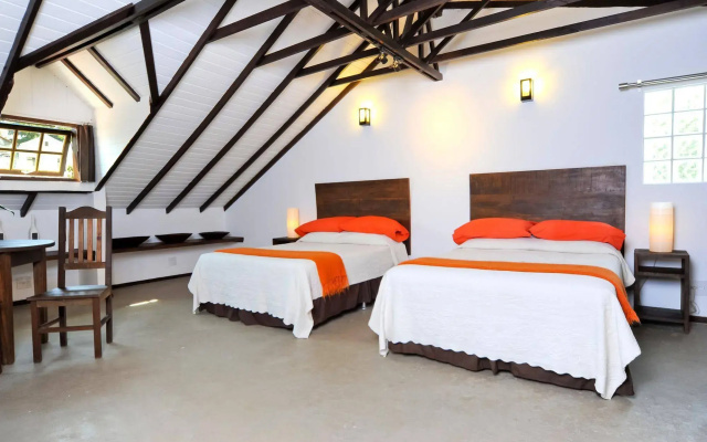 Casa Cool Beans B&B Santa Teresa