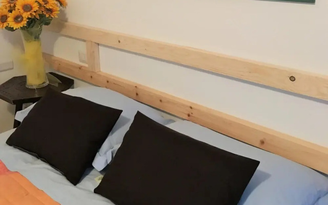 B&B Magenta