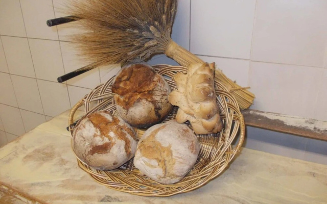 B&B Ecoturismo L'Elicriso
