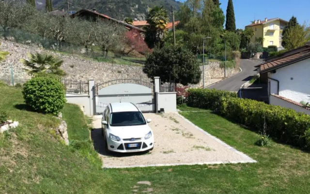 Verde Panorama