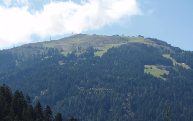Leirerfeld