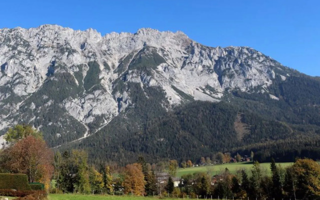 Reinbacher (GBM100)