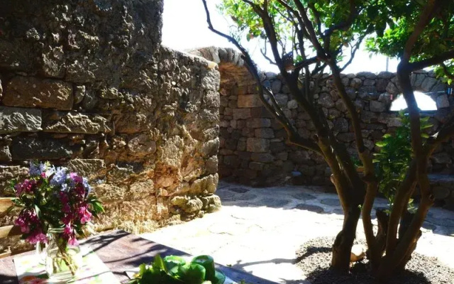 Dammuso Giardino Arabo