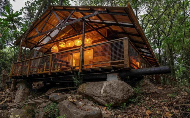 Matumi Trail Forest Lodge