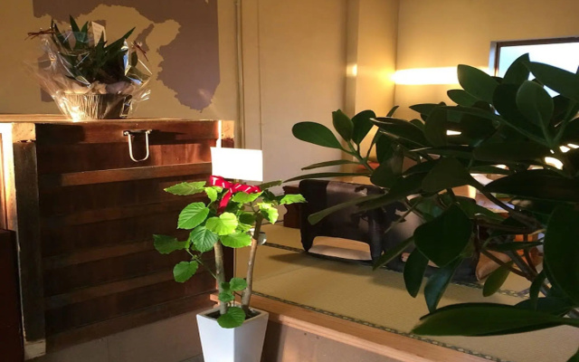 Sana Inn Town - Hostel